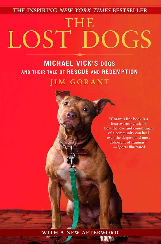 Front cover_The Lost Dogs