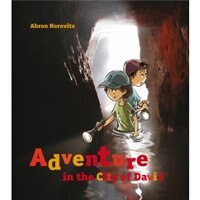Adventure in the City of David