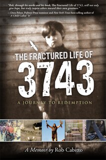 Front cover_The Fractured Life of 3743