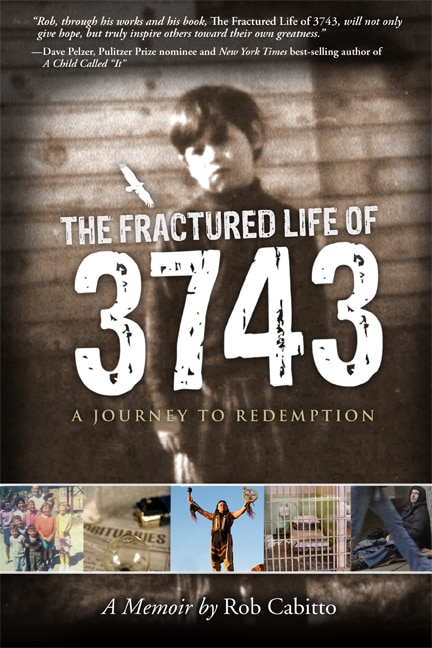 Front cover_The Fractured Life of 3743
