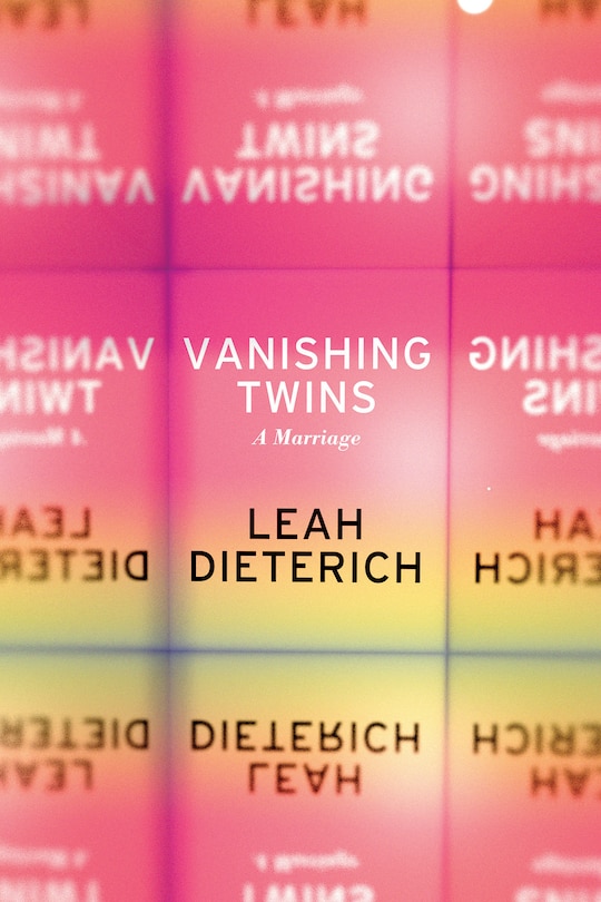 Front cover_Vanishing Twins