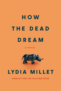 Couverture_How the Dead Dream