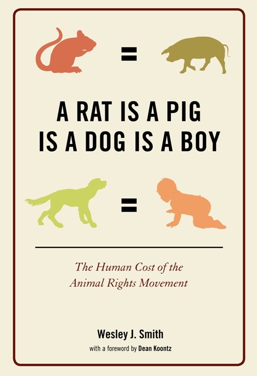 Front cover_A Rat Is a Pig Is a Dog Is a Boy