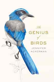 The Genius Of Birds by Jennifer Ackerman