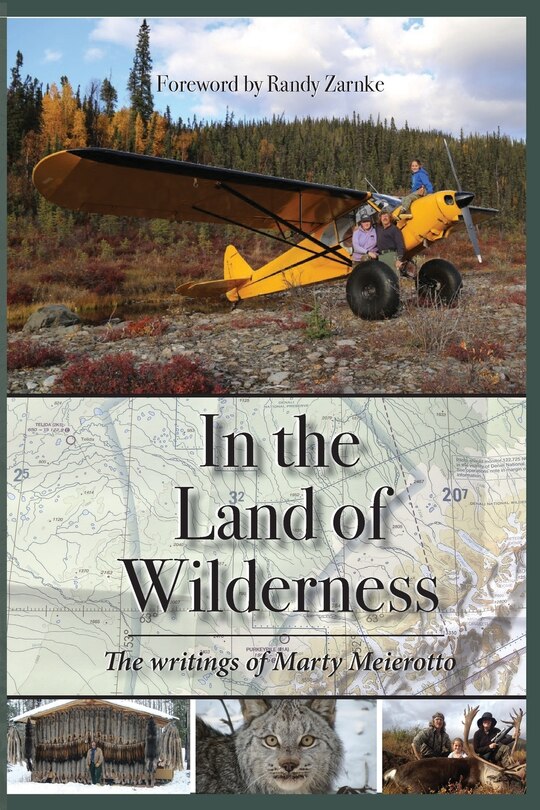 Couverture_In the Land of Wilderness