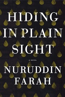 Front cover_Hiding In Plain Sight