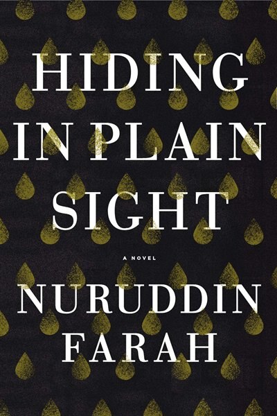 Front cover_Hiding In Plain Sight