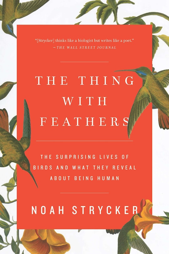 Couverture_The Thing With Feathers