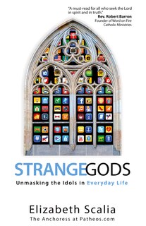 Couverture_Strange Gods