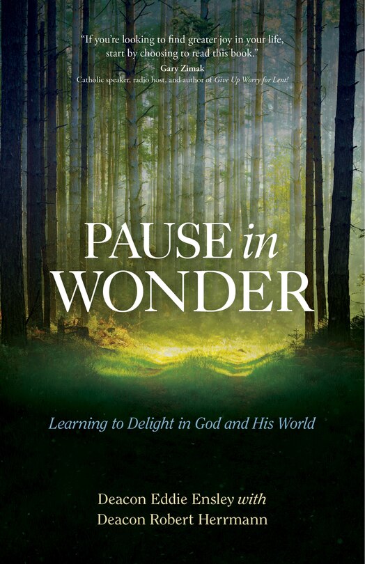 Front cover_Pause In Wonder