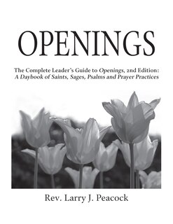 Front cover_Openings Leader Guide 2/E