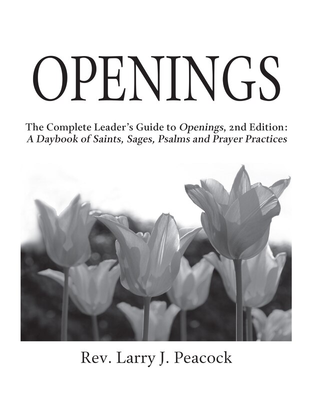 Front cover_Openings Leader Guide 2/E