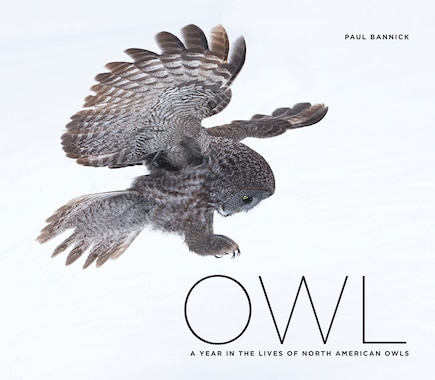 Owl: A Year In The Lives Of North American Owls