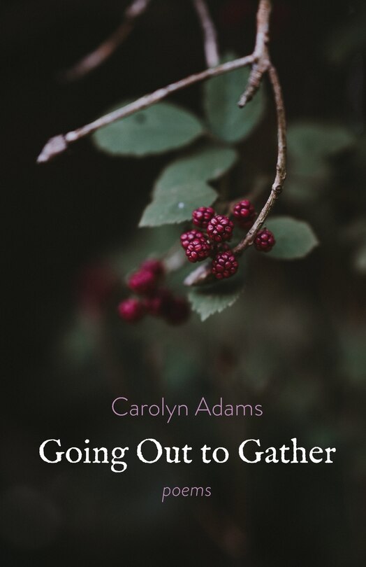 Front cover_Going Out to Gather