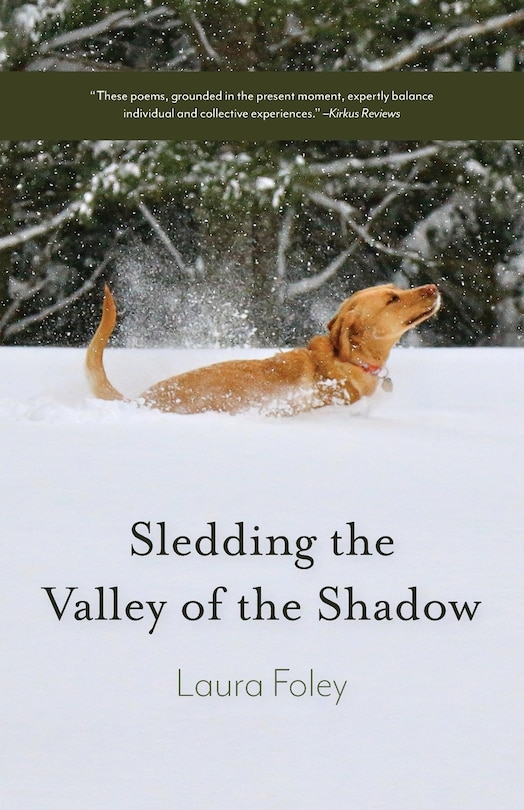 Front cover_Sledding the Valley of the Shadow