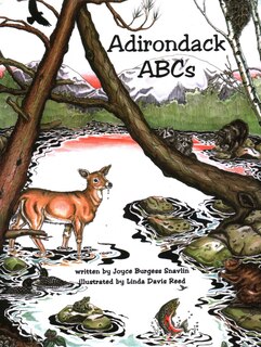 Front cover_Adirondack ABCs
