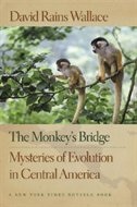 Front cover_The Monkey's Bridge
