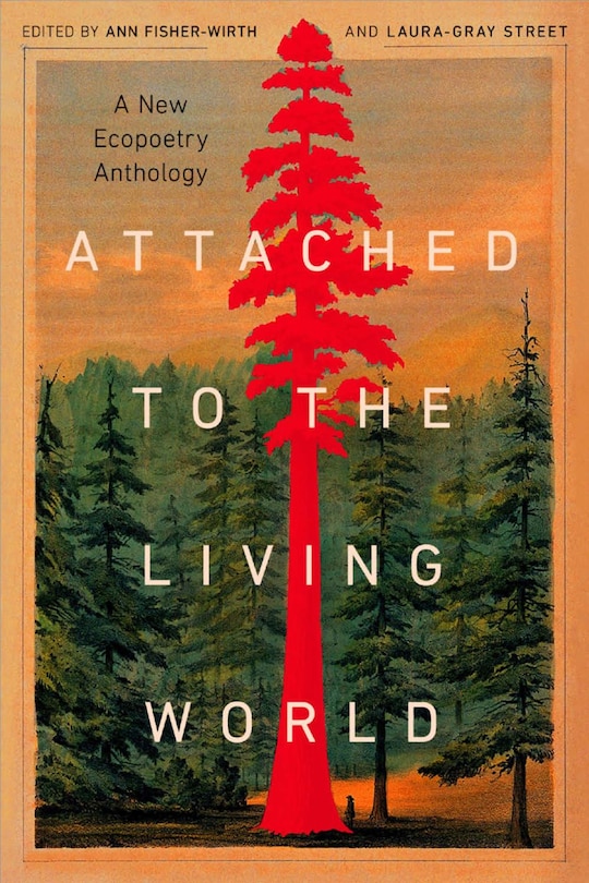 Front cover_Attached to the Living World