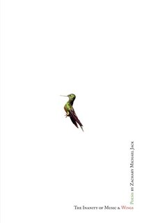 Front cover_The Inanity of Music and Wings