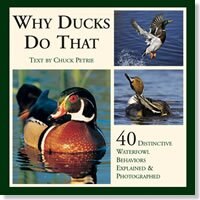Front cover_Why Ducks Do That