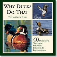 Front cover_Why Ducks Do That