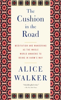 Front cover_The Cushion in the Road