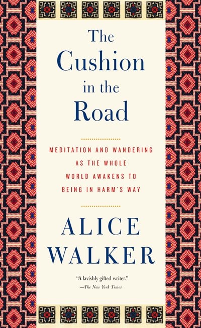 Front cover_The Cushion in the Road