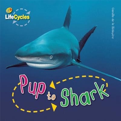 Front cover_Pup to Shark