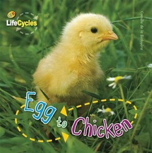 Front cover_Egg to Chicken