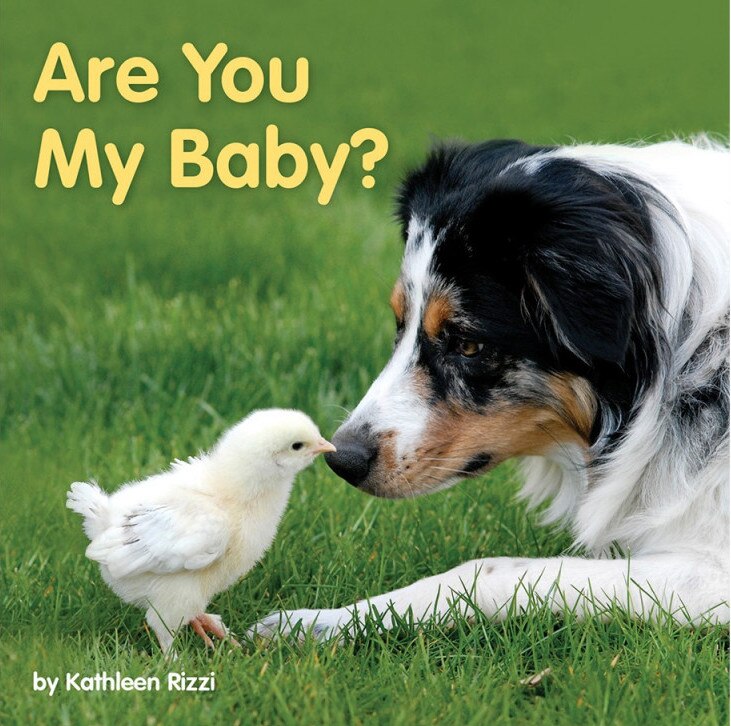 Front cover_Are You My Baby?