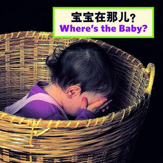 Couverture_Where's the Baby?