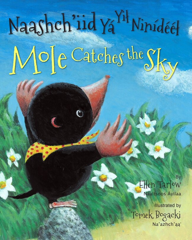 Couverture_Mole Catches the Sky