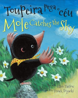 Front cover_Mole Catches the Sky