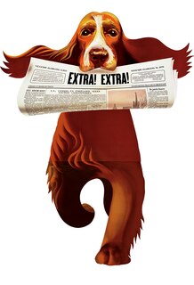 Front cover_Running Dog - Birthday Card
