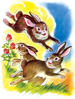 Front cover_Have A Fun-Filled Birthday - Frisky Bunnies Birthday Card
