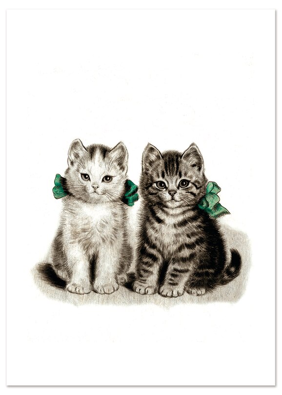 Front cover_Adorable Kittens Friendship Greeting Card