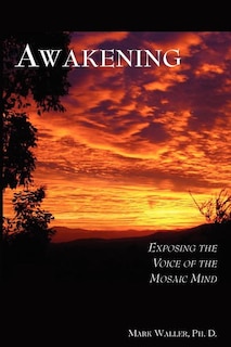Couverture_Awakening
