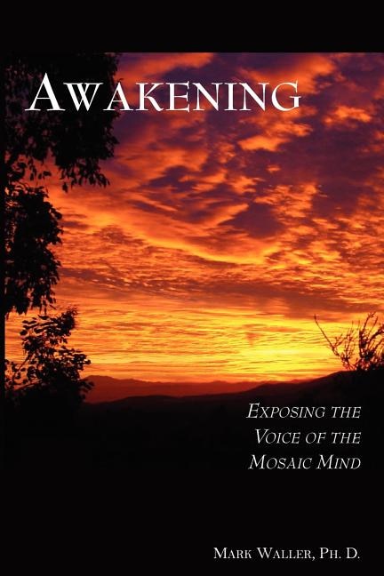 Couverture_Awakening