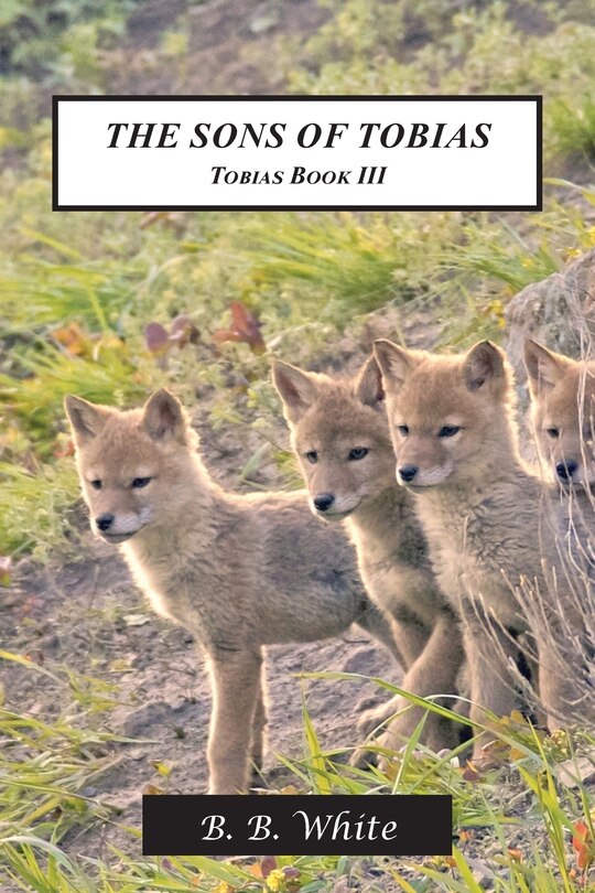 Front cover_The Sons of Tobias