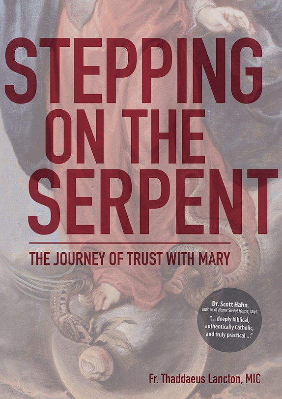 Couverture_Stepping on the Serpent