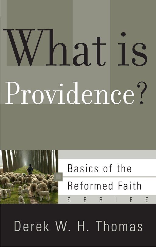 Front cover_What Is Providence?