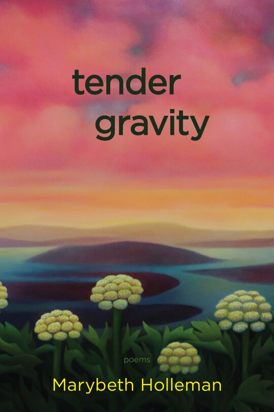 Front cover_Tender Gravity