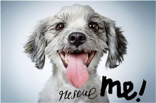 Front cover_Rescue Me