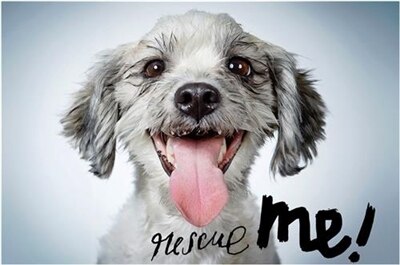 Front cover_Rescue Me