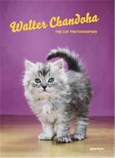 Front cover_Walter Chandoha: The Cat Photographer