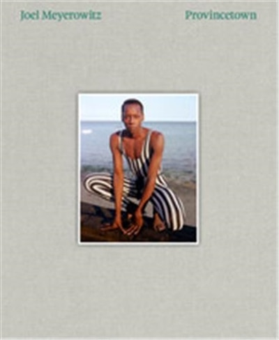 Front cover_Joel Meyerowitz: Provincetown