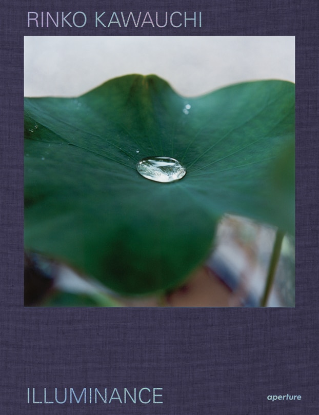 Front cover_Rinko Kawauchi: Illuminance