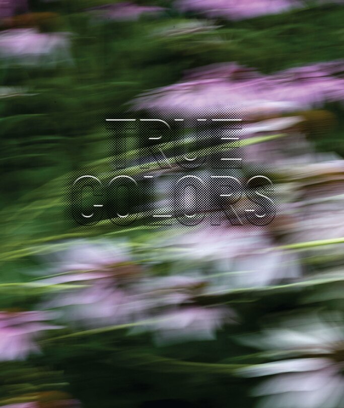 Couverture_Zora J Murff: True Colors (or, Affirmations In A Crisis)
