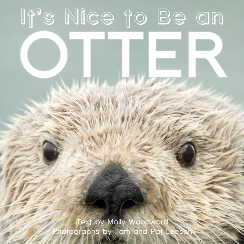 Couverture_It's Nice To Be An Otter