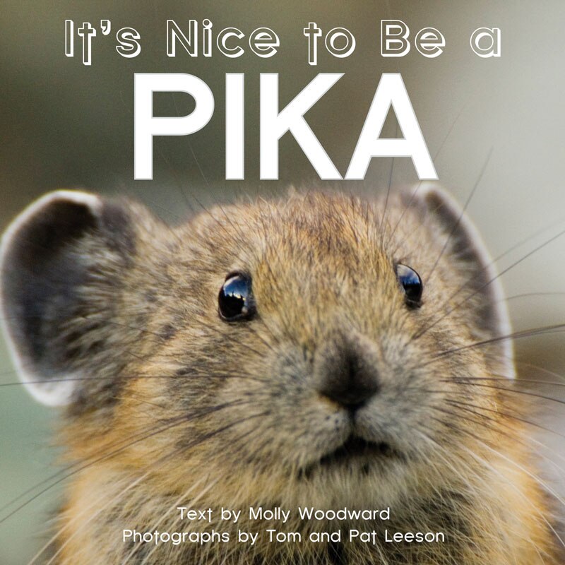Front cover_It's Nice To Be A Pika